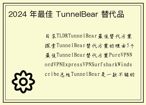 2024 年最佳 TunnelBear 替代品