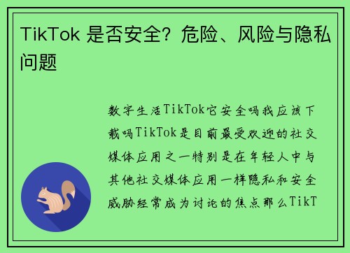 TikTok 是否安全？危险、风险与隐私问题